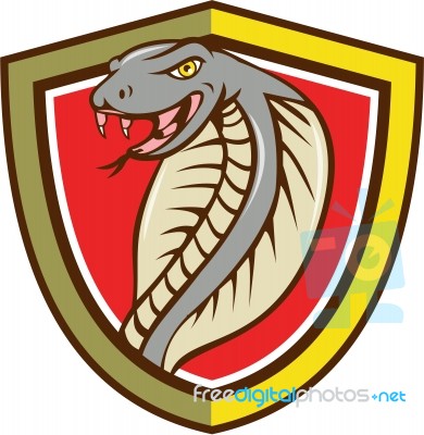 Cobra Viper Snake Head Attacking Shield Cartoon Stock Image