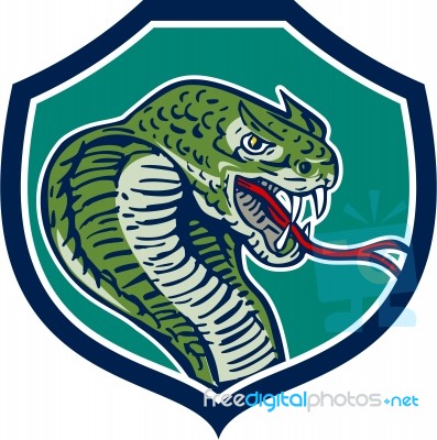 Cobra Viper Snake Shield Retro Stock Image