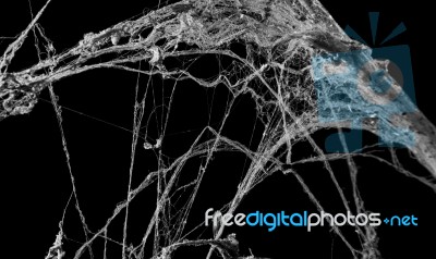 Cobweb Or Spider Web Isolated On Black Background In Ancient Tha… Stock Photo