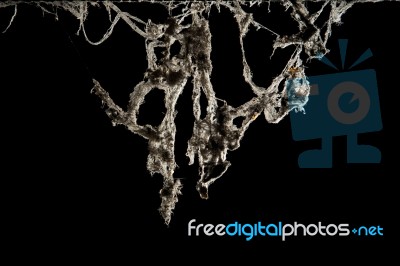 Cobweb Or Spider Web Isolated On Black Background In Ancient Tha… Stock Photo