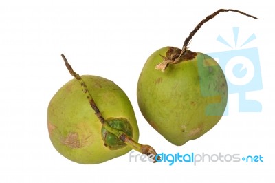 Coconut Stock Photo