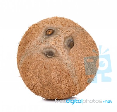 Coconut Isolated On The White Background Stock Photo