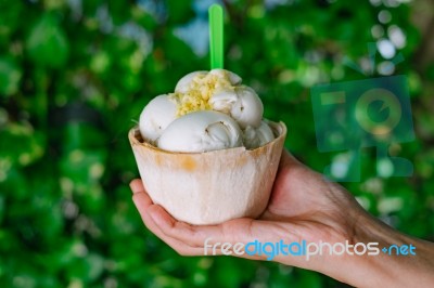 Coconut Milk Ice-cream In The Hand With Plastic Spoon And Green Stock Photo