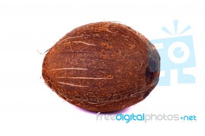 Coconut On White Stock Photo