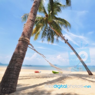 Coconut Palm Trees With Hammock On Tropical Beach Background Stock Photo