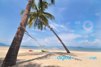 Coconut Palm Trees With Hammock On Tropical Beach Background Stock Photo