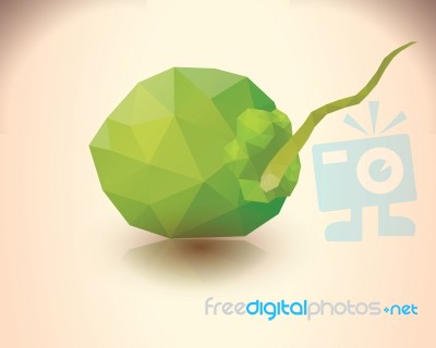 Coconut Polygonal Style Stock Image