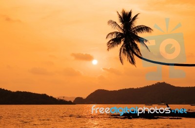 Coconut Tree Hanging Over The Beach At Sunset Stock Photo