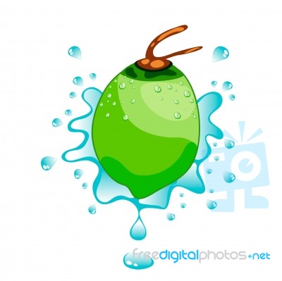 Coconut With Water Splash Stock Image