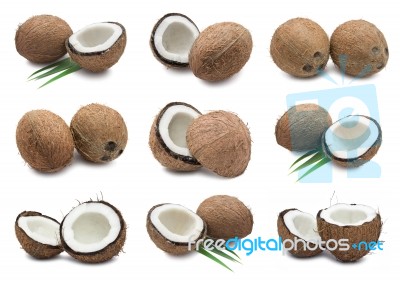 Coconuts Stock Photo