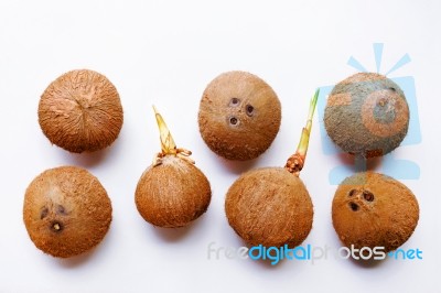 Coconuts Isolated On The White Background Stock Photo