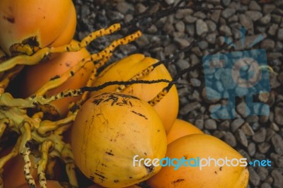 Coconuts Laying On Gravel Stock Photo