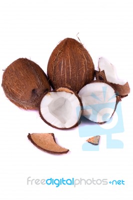 Coconuts On White Stock Photo