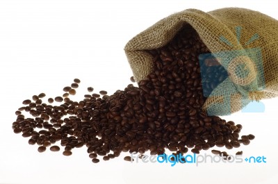 Coffee Stock Photo