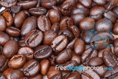 Coffee Bean Stock Photo