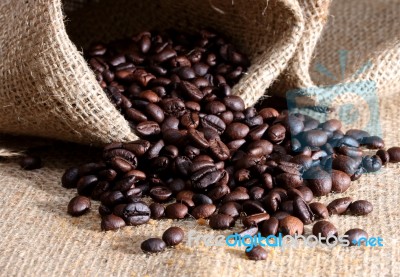 Coffee Beans Stock Photo