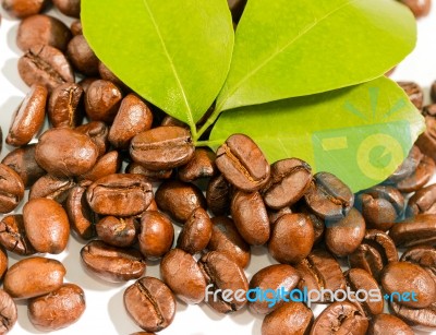 Coffee Beans Fresh Represents Tasty Delicious And Restaurant Stock Photo