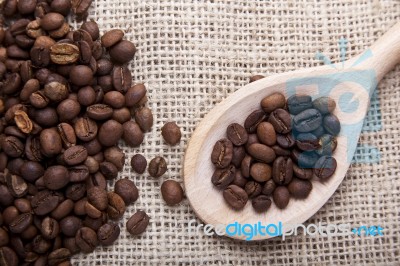 Coffee Beans In Spoon Stock Photo