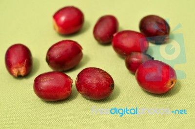 Coffee Beans On A Coffee Plantation Stock Photo