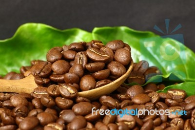 Coffee Beans  On Wooden Spoon Stock Photo