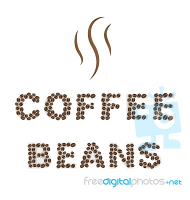 Coffee Beans Type On White Area Background Stock Image