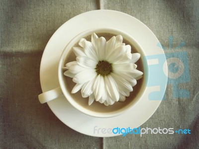 Coffee Cup On Table With White Daisy Vintage Style Stock Photo