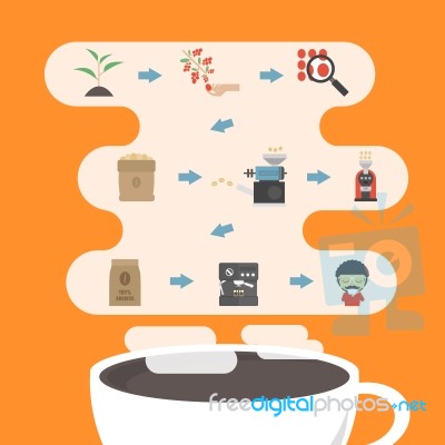 Coffee Process Infographic Stock Image