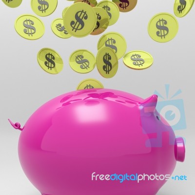 Coins Entering Piggybank Shows Money Saving Stock Image