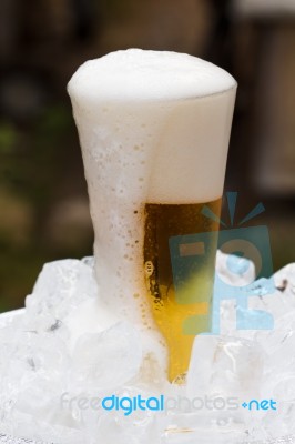 Cold Beer In Glass Stock Photo