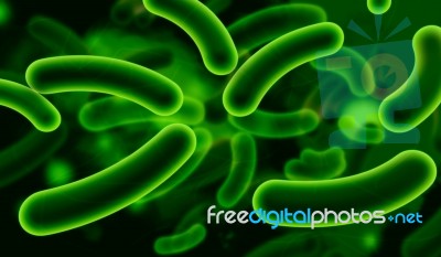 Coli Bacteria Stock Image