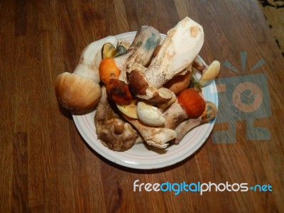 Collection And Preparation Of Autumn Edible Mushrooms Stock Photo