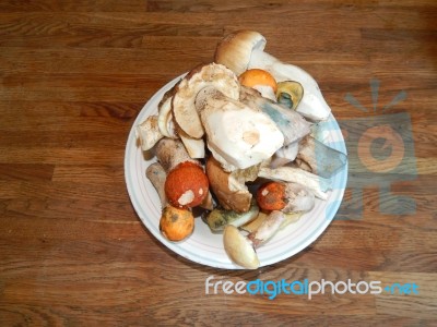 Collection And Preparation Of Autumn Edible Mushrooms Stock Photo