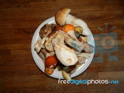 Collection And Preparation Of Autumn Edible Mushrooms Stock Photo