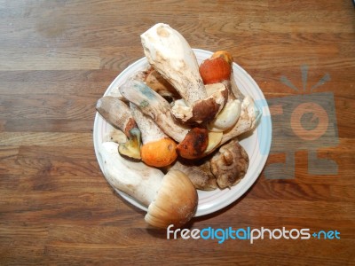 Collection And Preparation Of Autumn Edible Mushrooms Stock Photo