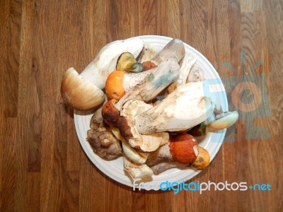 Collection And Preparation Of Autumn Edible Mushrooms Stock Photo