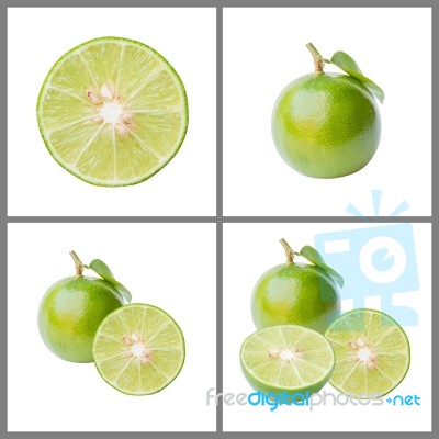 Collection Of Fresh Lime Stock Photo