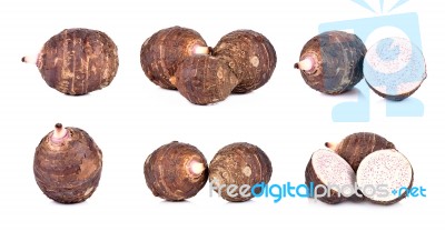 Collection Taro Isolated On The White Background Stock Photo