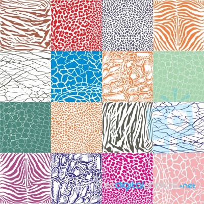 Color Animal Background Stock Image