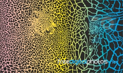 Color Background With Giraffe And Leopard Stock Image