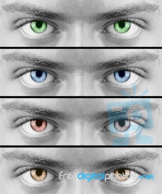 Color Eyes Stock Photo