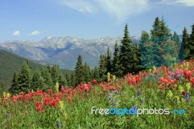 Colorado Mountains Stock Photo