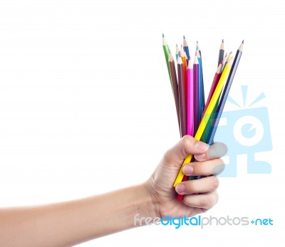 Colored Pencils In A Female Hand On A White Background  Stock Photo