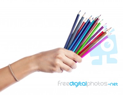 Colored Pencils In A Female Hand On A White Background  Stock Photo