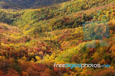 Colorful Autumn Stock Photo