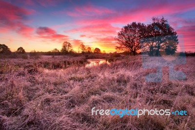 Colorful Autumn Dawn. Little River In The Meadow Stock Photo