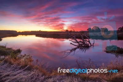 Colorful Autumn Dawn. Old Snag In The River Stock Photo