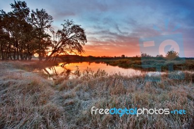 Colorful Autumn Dawn. Wood Near The River Stock Photo