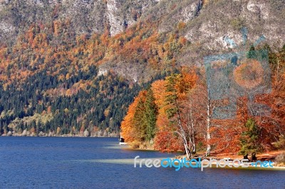 Colorful Autumn Lake Behind Forest And Mountains Stock Photo