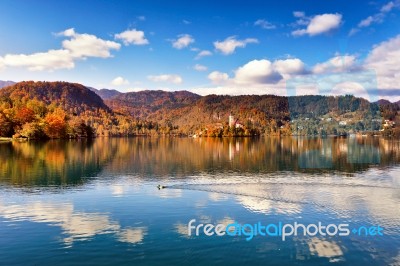 Colorful Autumn On Bled Lake, Slovenia Stock Photo