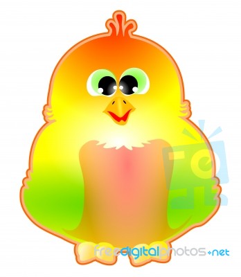 Colorful Bird Stock Image